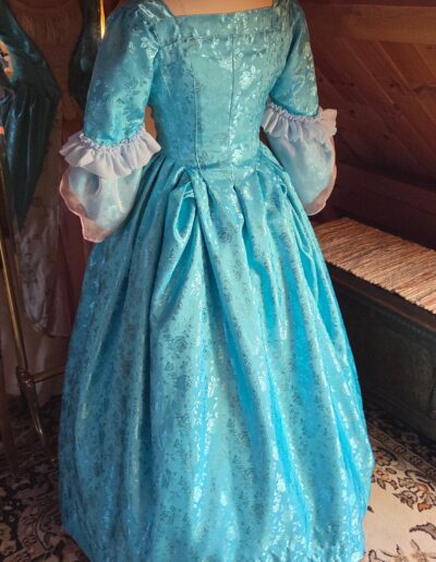 main gown back view