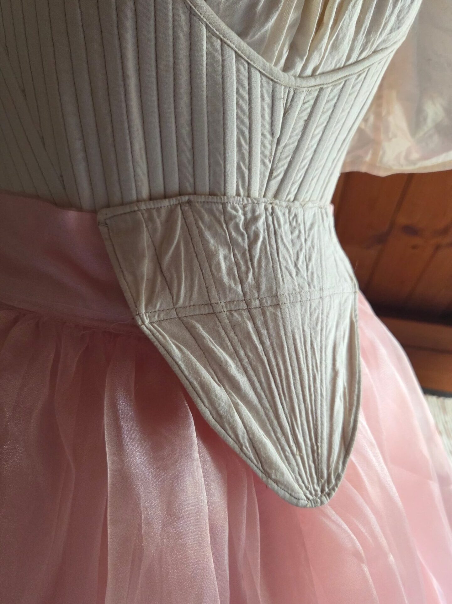 The Stomacher: The Pauper Dress