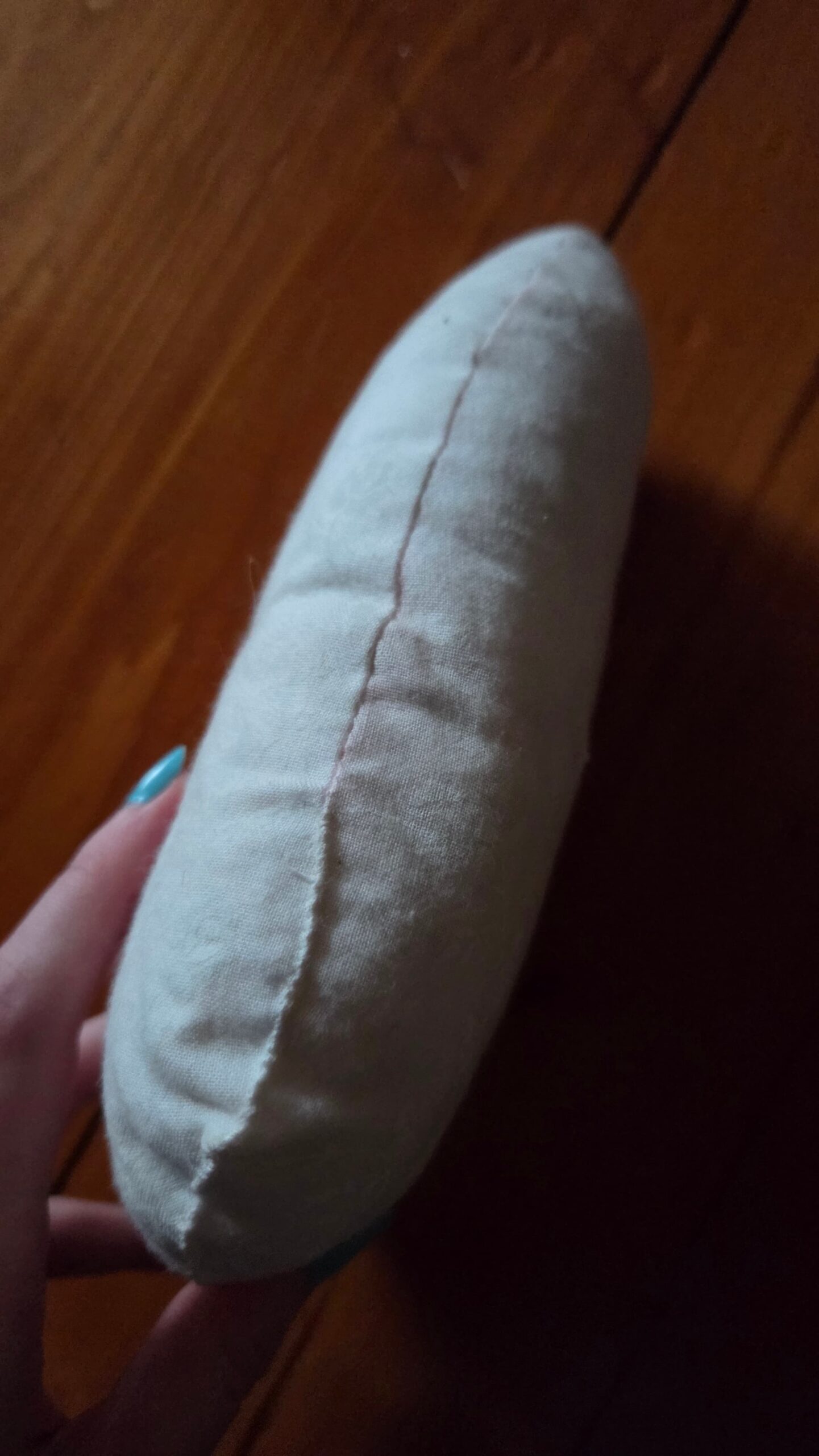 red velvet cloak clasp