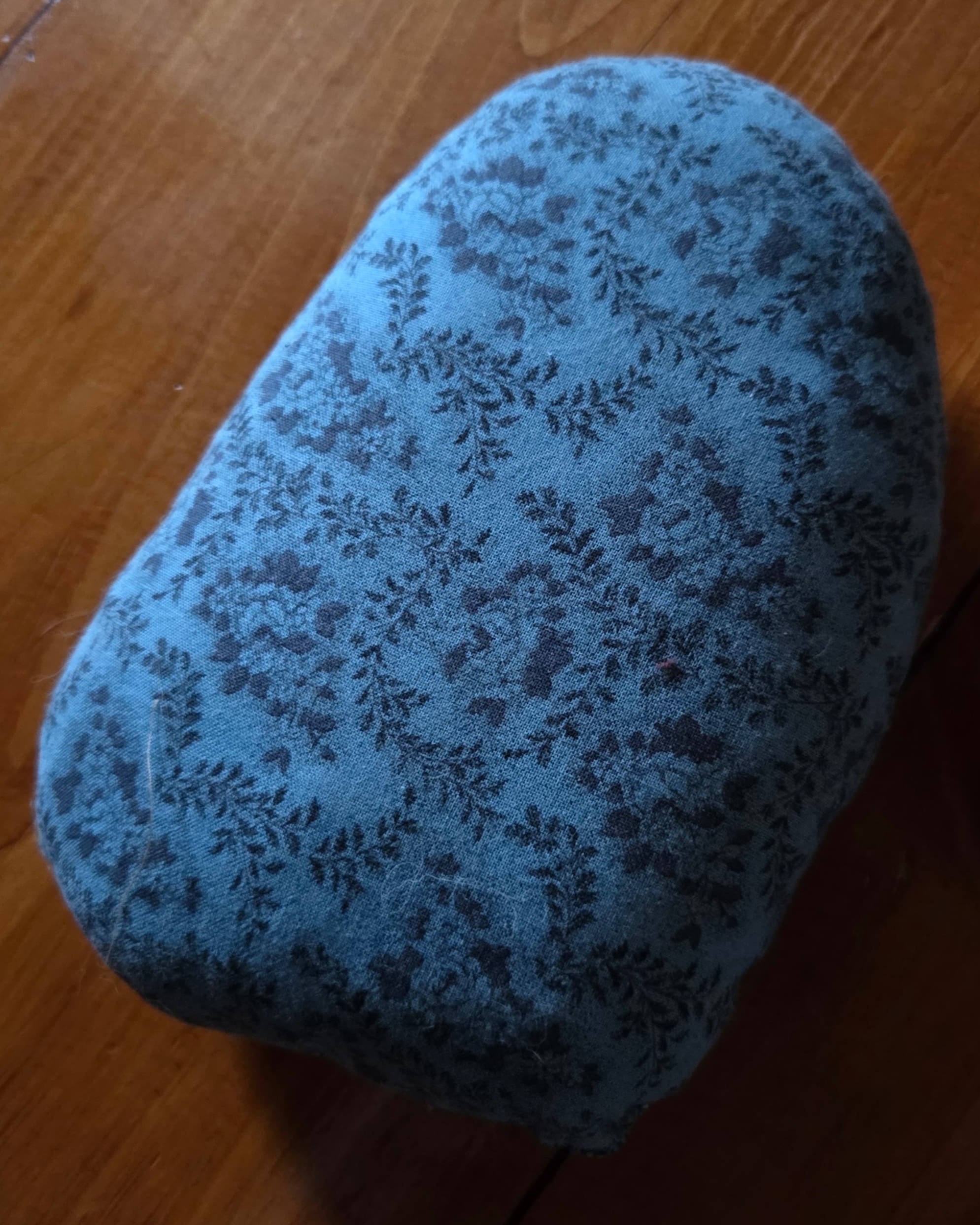 red velvet cloak with tarnished silver clasp closure